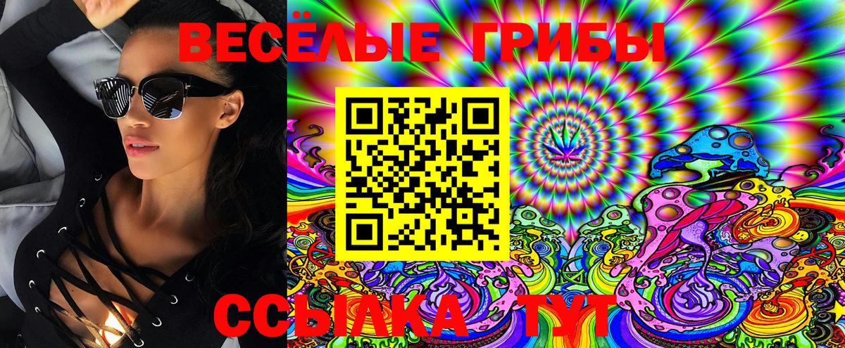 Псилоцибиновые грибы GOLDEN TEACHER  Псилоцибиновые грибы MAGIC MUSHROOMS  сколько стоит  Вход с VPN  Звенигород 